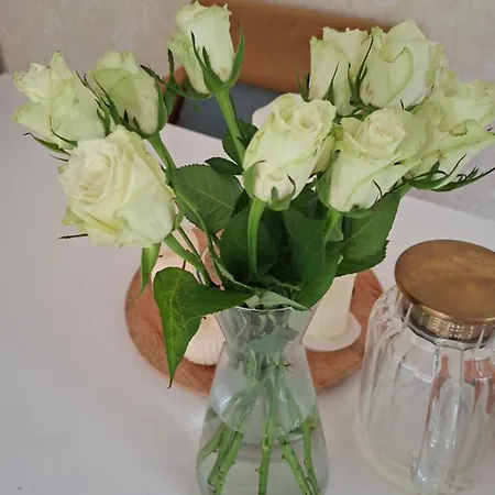 Appartement Boarder Center Apartment, Voidu Tn 5, 16, 4th Floor,